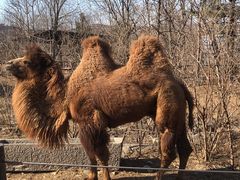 -济南野生动物世界