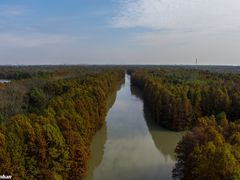 -上海海湾国家森林公园