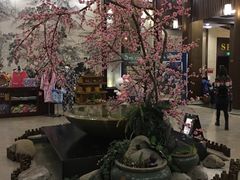 -航空小镇温泉