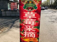 -大自然农场蔬菜草莓采摘园