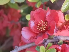 -海棠花溪(元大都城垣遗址公园)