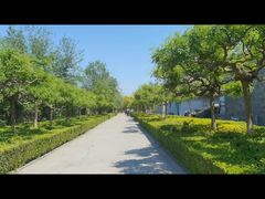 -杨柳青庄园