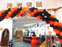 -澳洲袋鼠早教(南二环店)