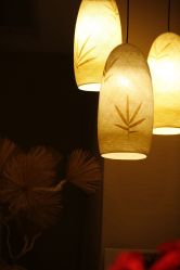 -iSpa