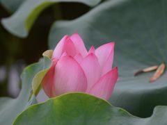 -东山湖公园