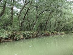 -大湾区中央湿地公园