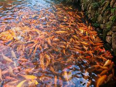 -楠溪江风景名胜区