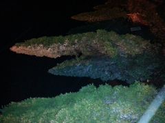 -瑞安圣井山景区