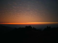 -紫鹊界梯田景区