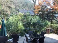 -十八棵（老龙井）御茶园(老龙井店)