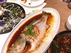 -青梅酒肆PLUS(长白仙岛北路店)