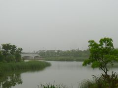 -尚贤河湿地