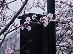 -北京凤凰岭