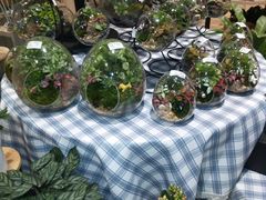 -AEON永旺(东方宝泰店)