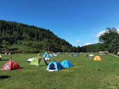 -武陵山森林公园