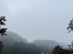 -广州市帽峰山景区