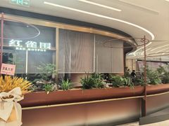 -红雀围·海鲜火锅(陆家嘴中心店)