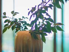 -天目湖御水温泉·度假酒店