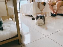 -L•野生眉半永久纹眉纹绣