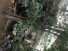 营口皇家园林酒店海鲜自助-皇家园林酒店