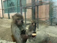 -水上乐园·欢乐世界