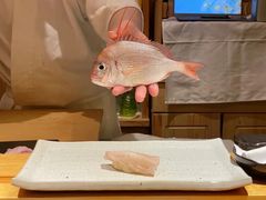 春子鲷-镹·鱼料理  国产鱼使用店