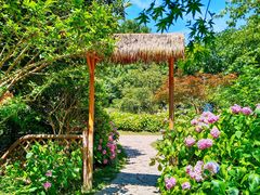 -上海共青森林公园