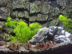 -上海海洋水族馆