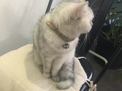 -研途咖啡馆(健康路店)