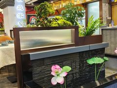 -洞庭家宴·头牌甲鱼(广渠门店)