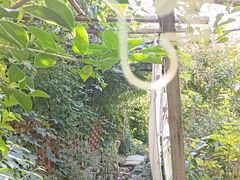 -小仙居·农家宴烤羊· 农庄