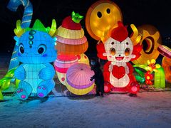 -沈阳奥体冰雪嘉年华