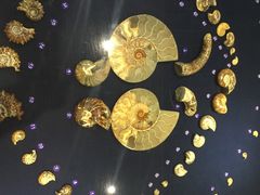 -青岛贝壳博物馆
