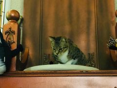 -逃脱反斗城沉浸剧情密室(北京路店)