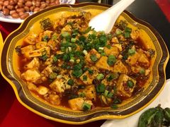 麻婆豆腐-旺川园·毛血旺·辣子鸡(解放碑店)