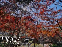 -崂山巨峰游览区
