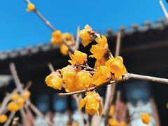 -钱王祠