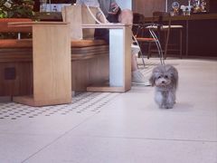 -Peet's Coffee皮爷咖啡(武商Mall手作店)