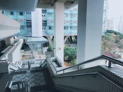 -香港大学