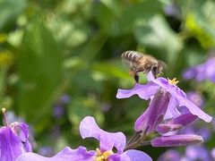 -白塘生态植物园