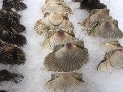 -盒马鲜生(曜一城店)