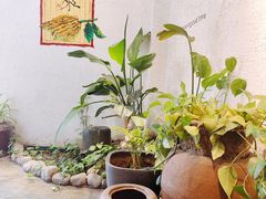 -如禾素食·下午茶·糖水