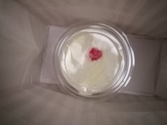 -红宝石·鲜奶小方·海派西点房(南丹店)