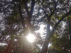 -北陵公园