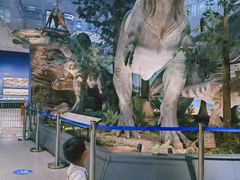 -湖南省地质博物馆