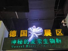 -辽宁古生物博物馆