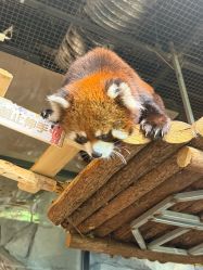 -Zoolung Zoolung动物主题公园(海信广场店)