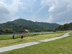 -风云岭森林公园