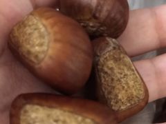 -阿男野栗王(金门路店)