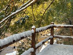 -藏龙百瀑风景区